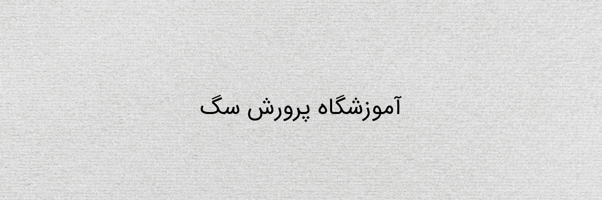 آموزشگاه پرورش سگ