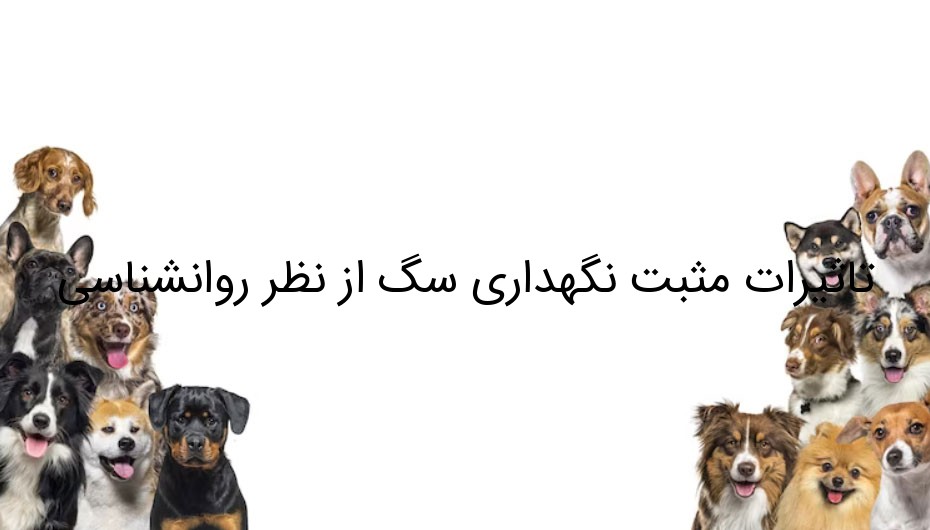 تاثیرات مثبت نگهداری سگ از نظر روانشناسی