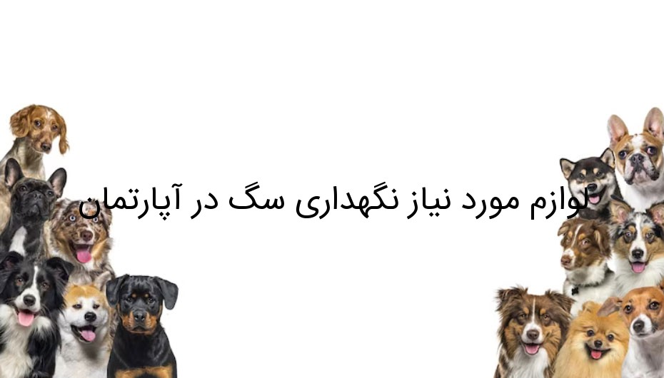 لوازم مورد نیاز نگهداری سگ در آپارتمان لوازم مورد نیاز نگهداری سگ در آپارتمان